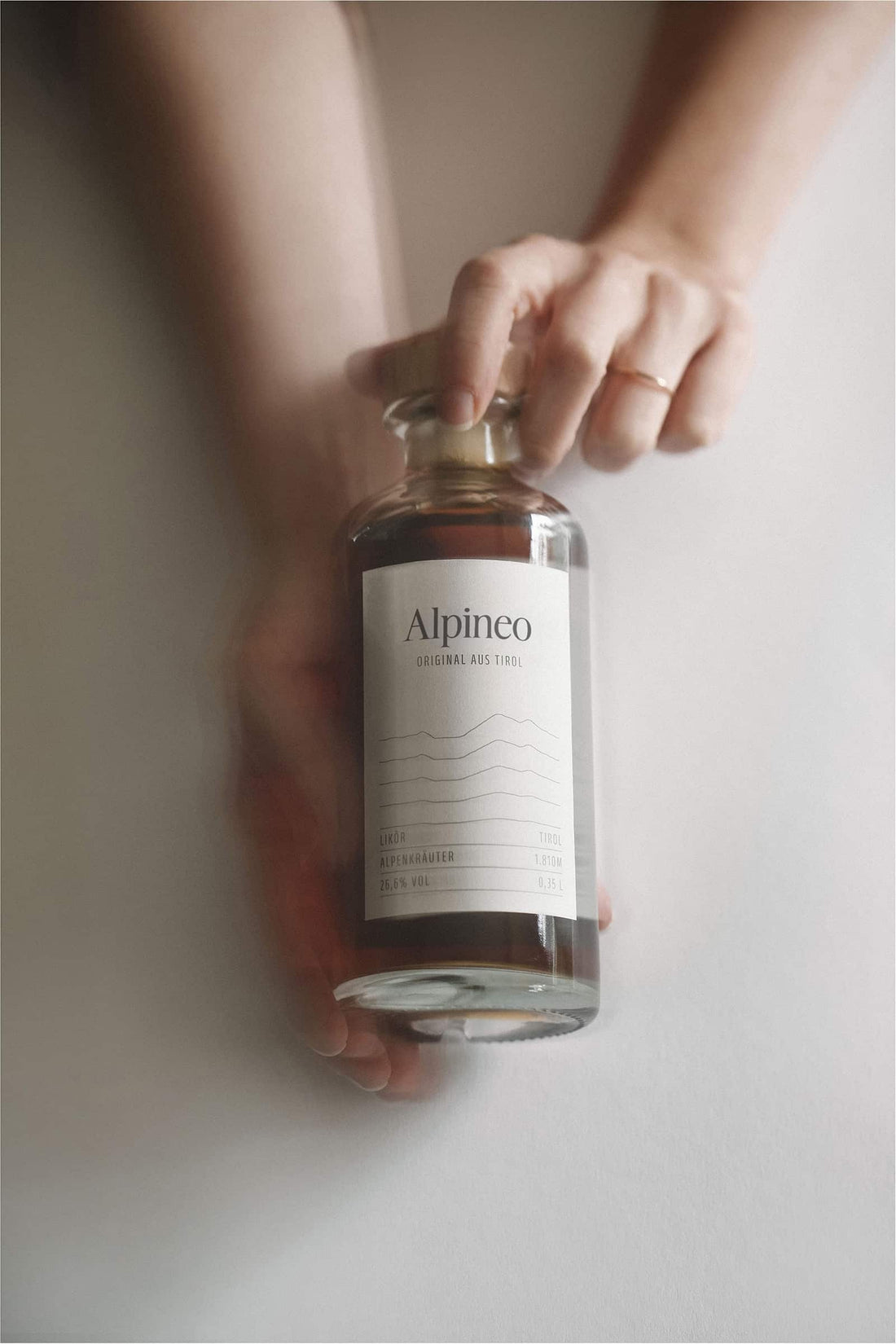 Alpineo in der Hand