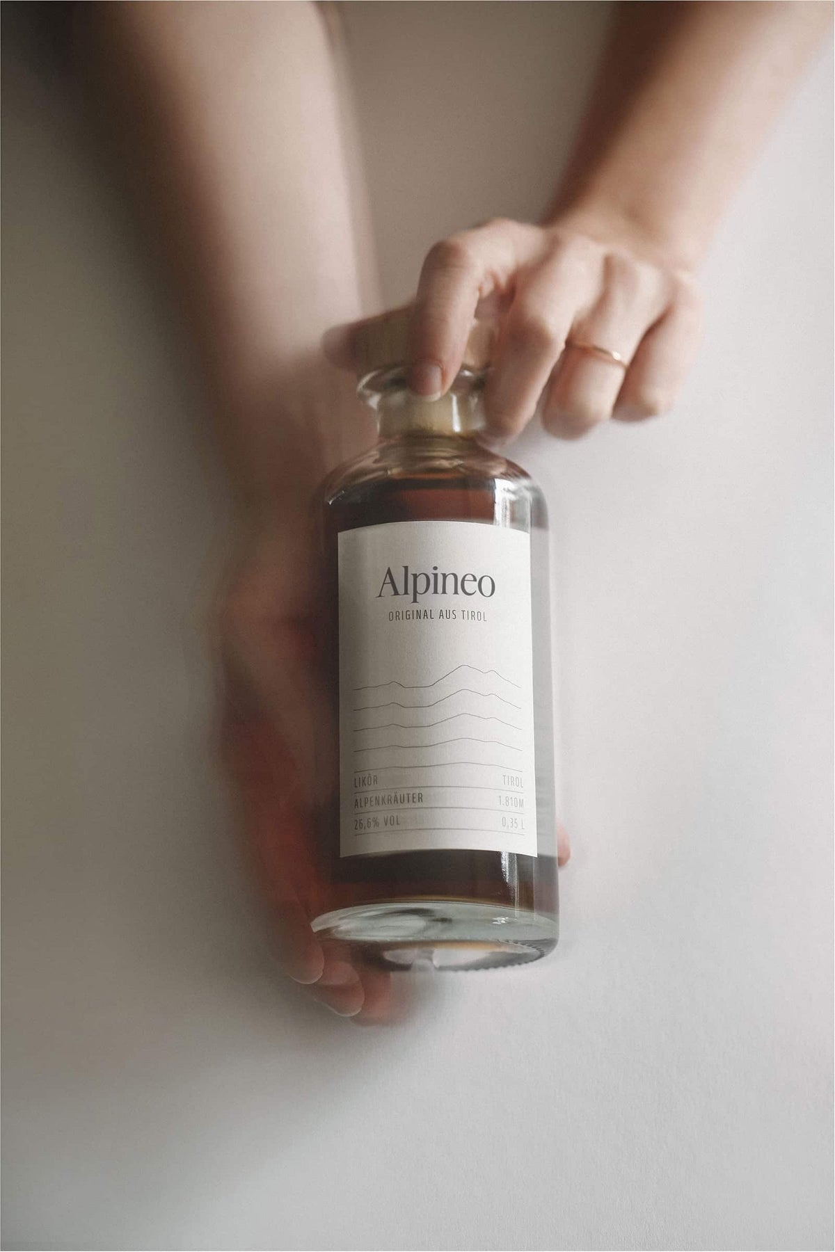 Alpineo in der Hand